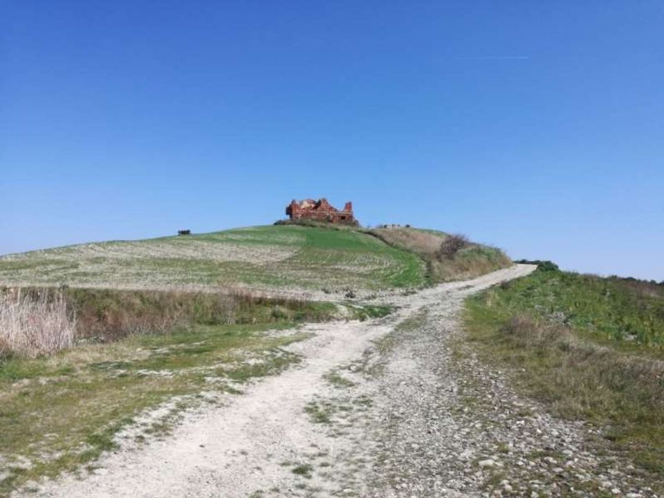 Farm hus i Peccioli, Pisa - foto 3