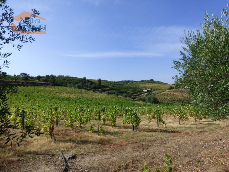 Herregård i Tabuaco, Viseu - bilde 1