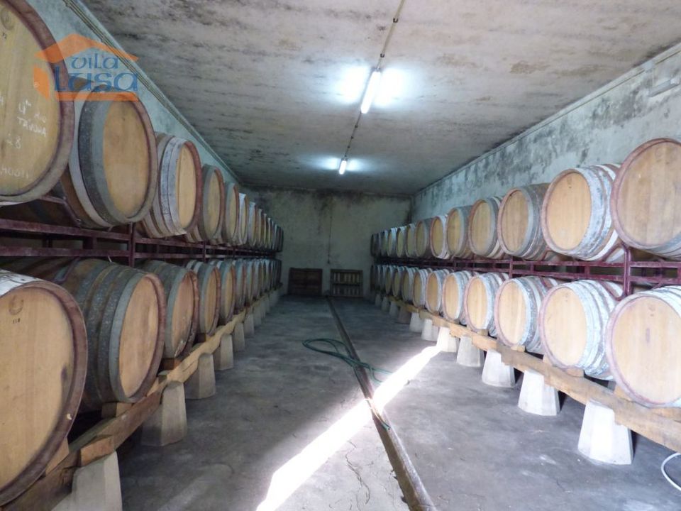 Herregård i Tabuaco, Viseu - bilde 2