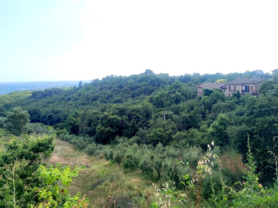 Villa i Orvieto, Terni - foto 3