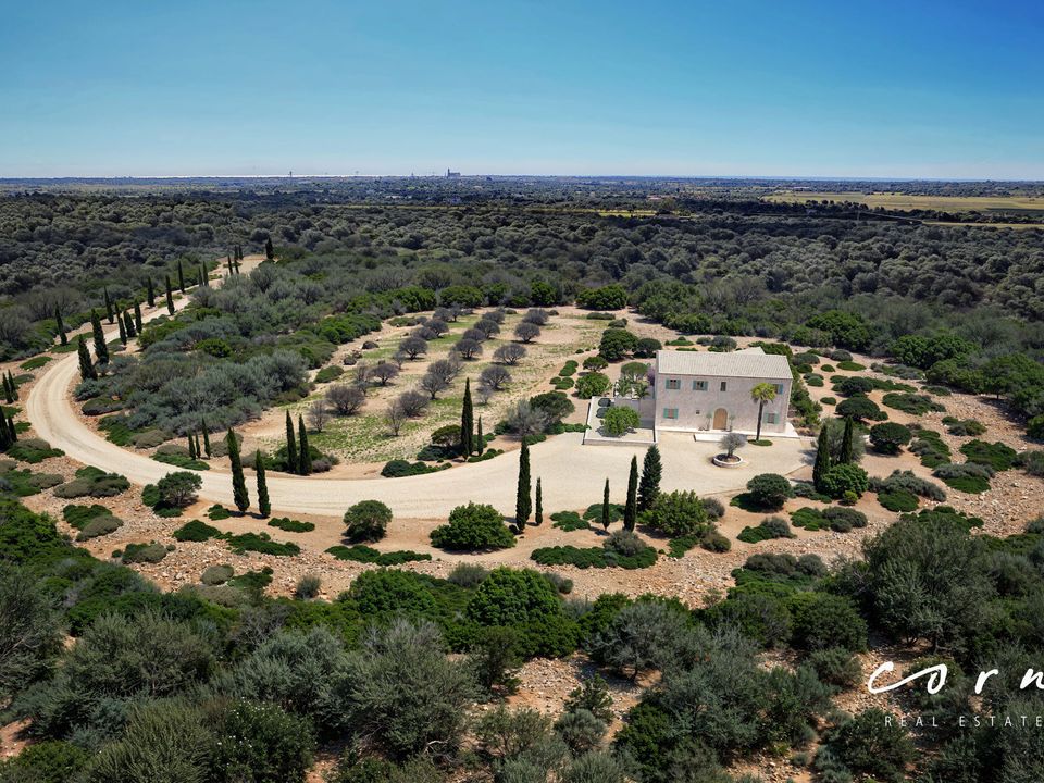 Helårsgrund i Santanyi, Mallorca - foto 5
