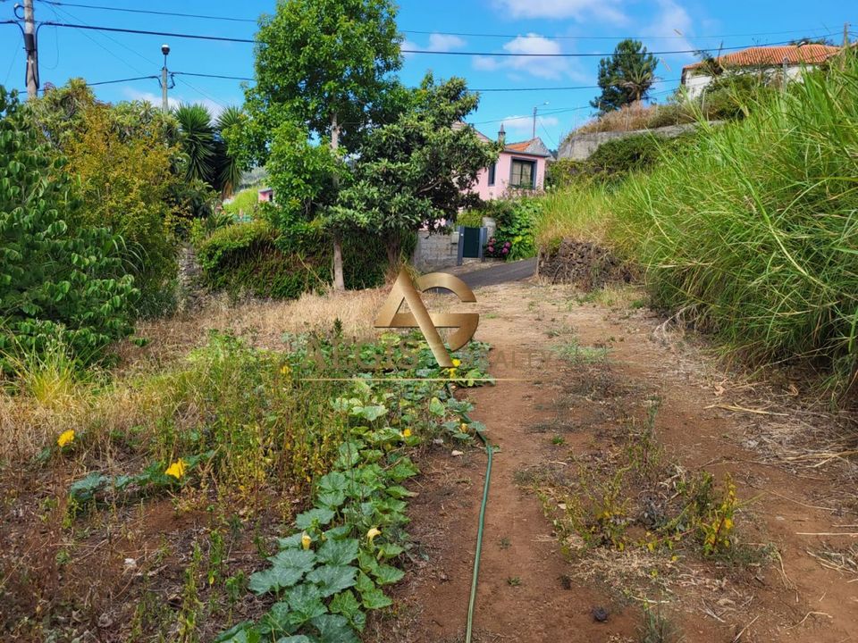Helårsgrund i Santa Cruz, Madeira - foto 2