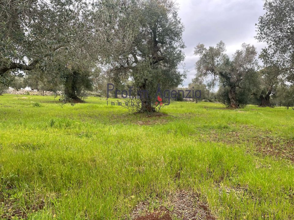 Helårsgrund i Carovigno, Brindisi - foto 4