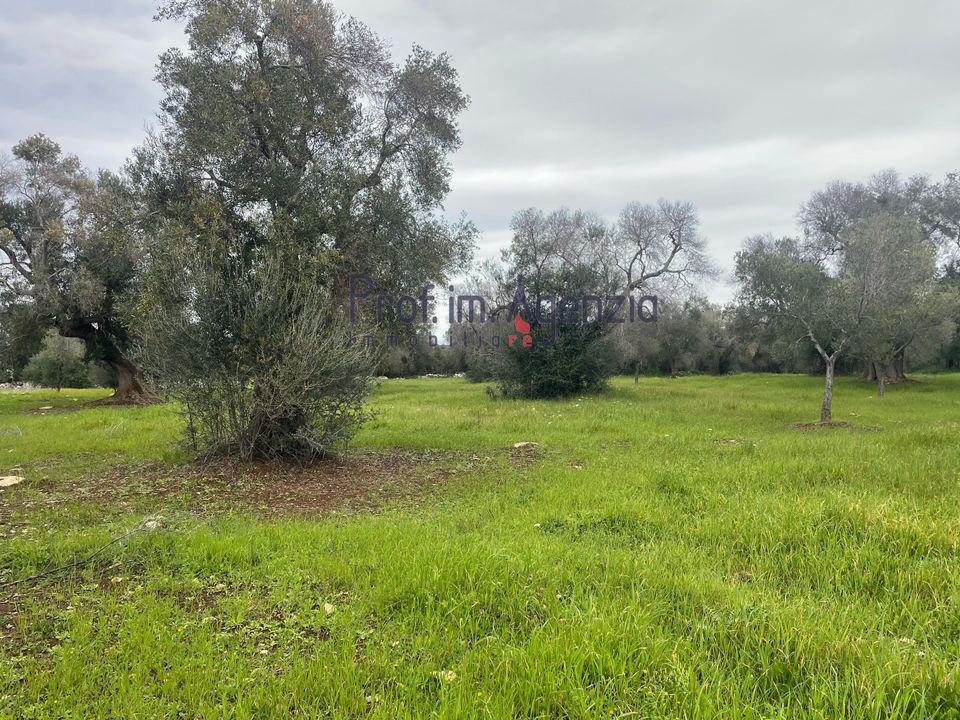 Helårsgrund i Carovigno, Brindisi - foto 3