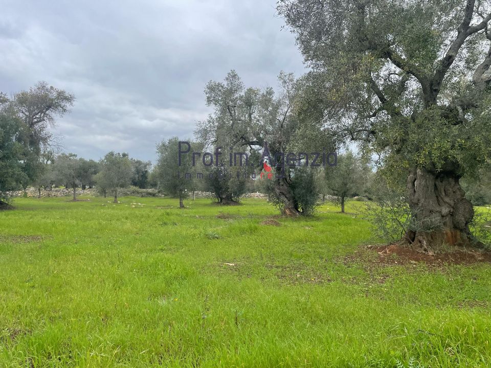 Helårsgrund i Carovigno, Brindisi - foto 1
