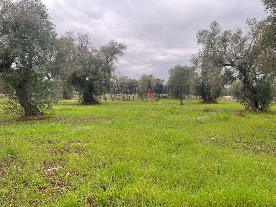 Helårsgrund i Carovigno, Brindisi - foto 2
