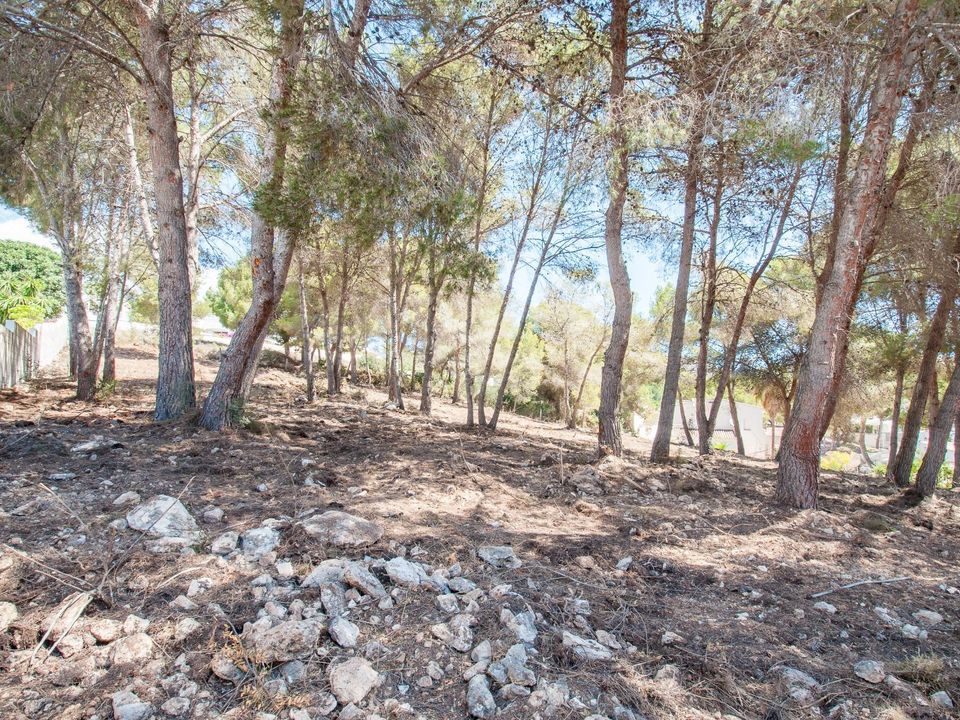 Helårsgrund i Moraira, Alicante - foto 5