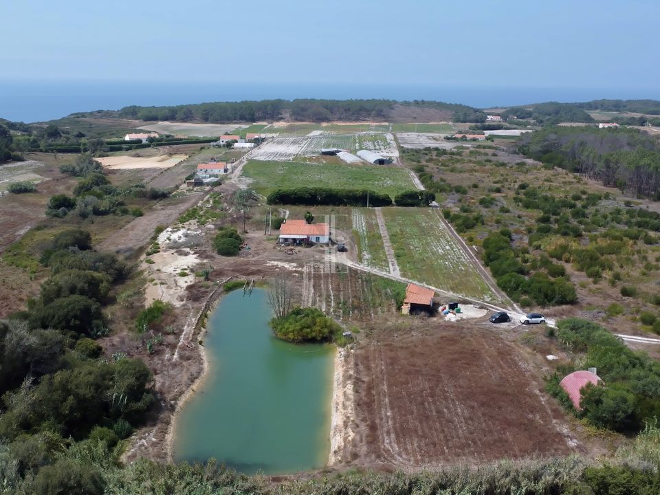 Farm hus i Rogil, Faro - foto 1