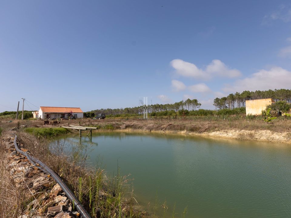Farm hus i Rogil, Faro - foto 3