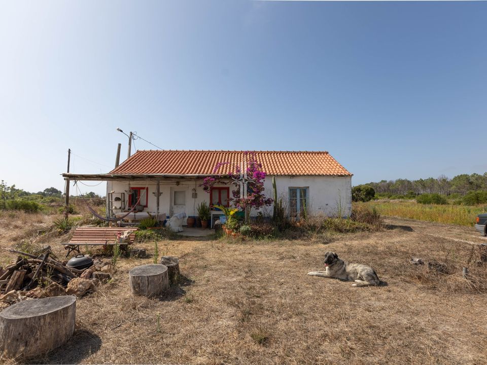 Farm hus i Rogil, Faro - foto 4