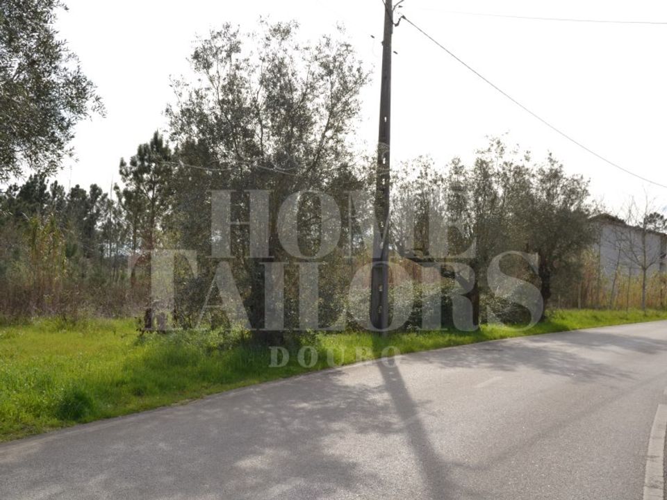 Tomt i Anadia, Aveiro - bilde 2