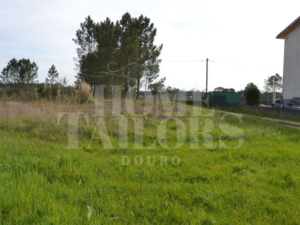 Tomt i Anadia, Aveiro - bilde 5