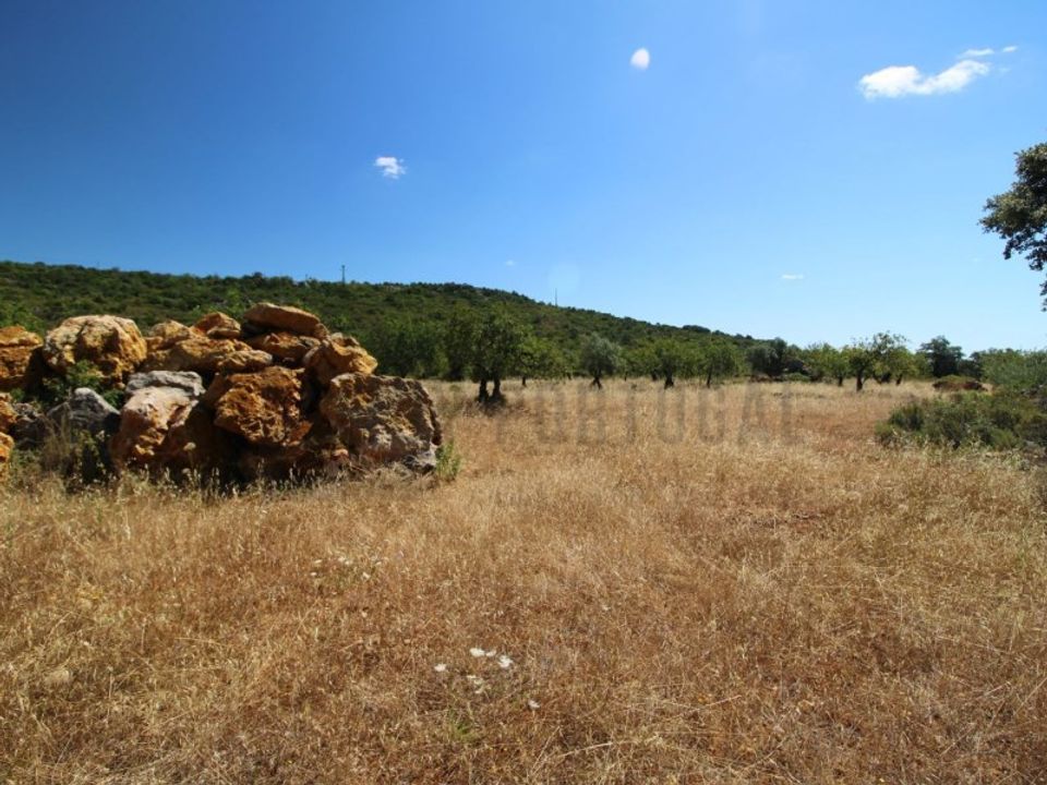 Helårsgrund i Sao Bras de Alportel, Faro - foto 1
