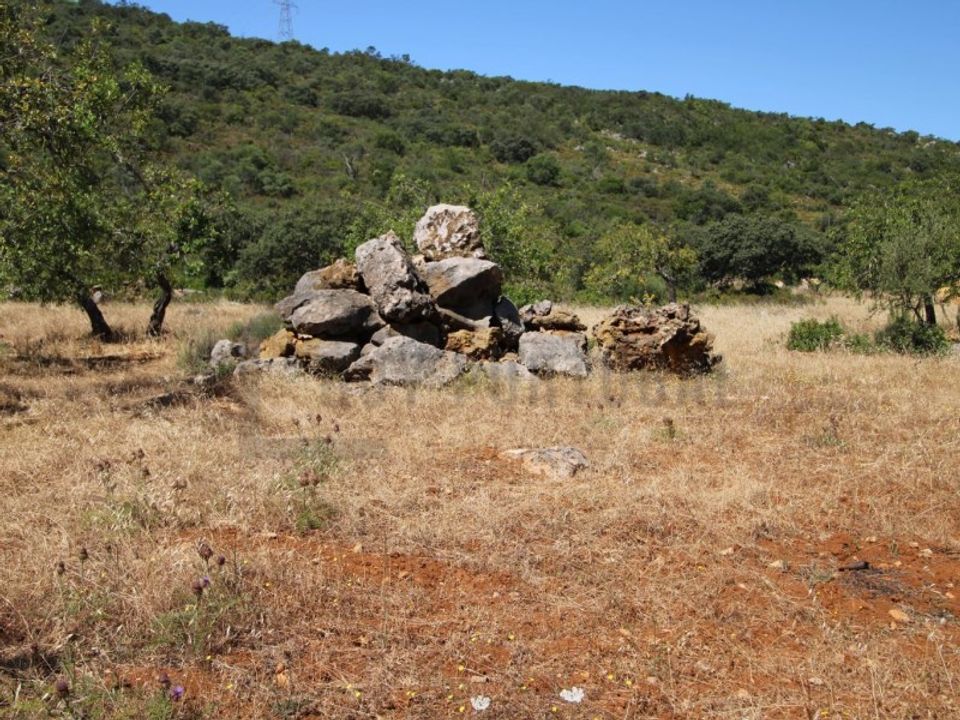 Helårsgrund i Sao Bras de Alportel, Faro - foto 2