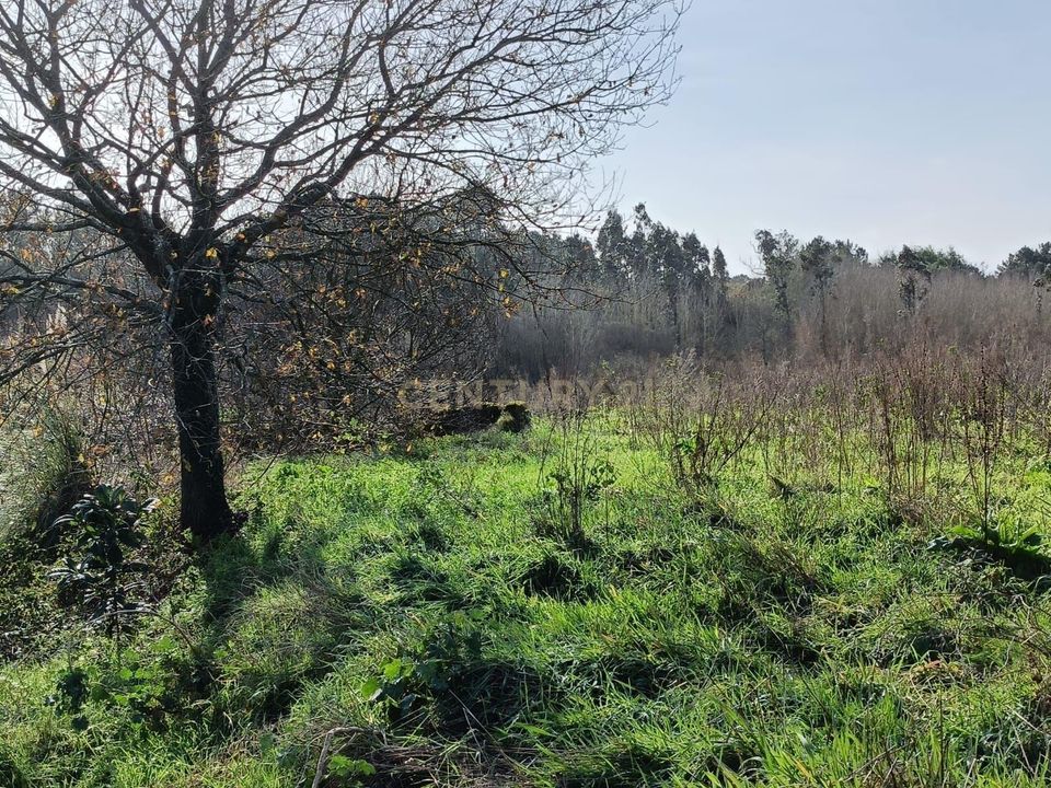 Helårsgrund i Oliveira do Bairro, Aveiro - foto 3