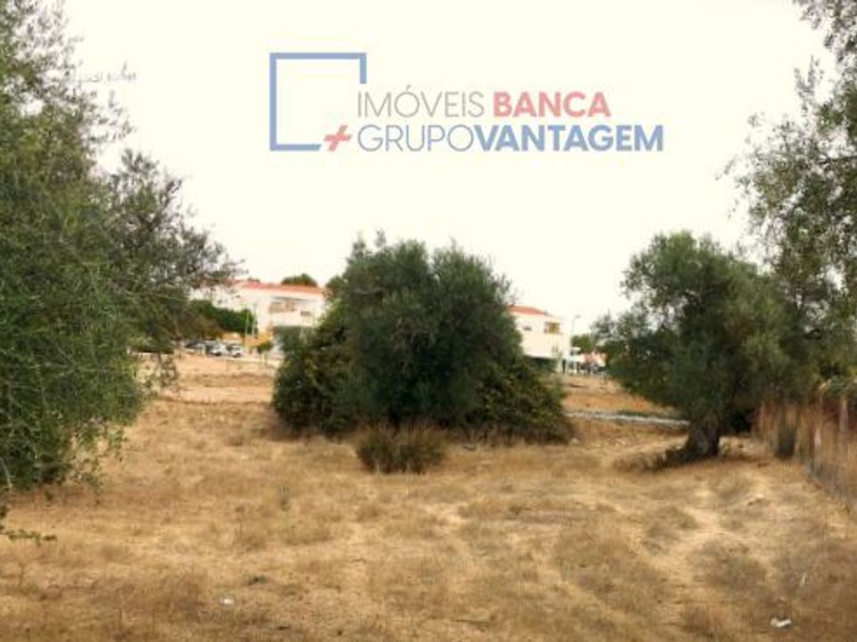 Terra a Serpa, Beja - foto 5