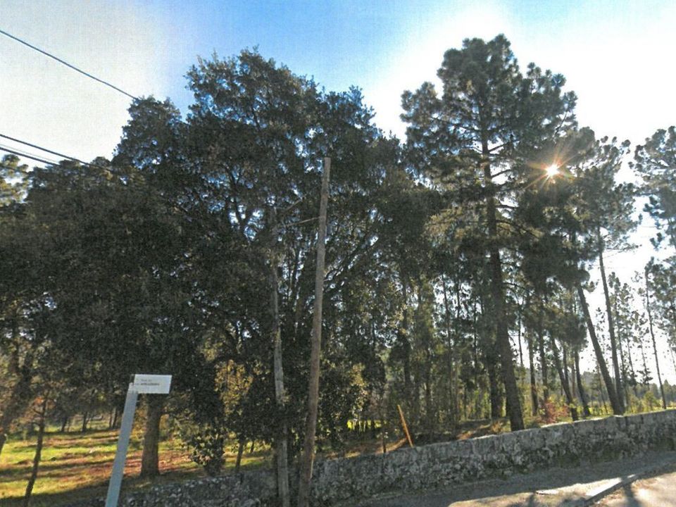 Helårsgrund i Maia, Porto - foto 3