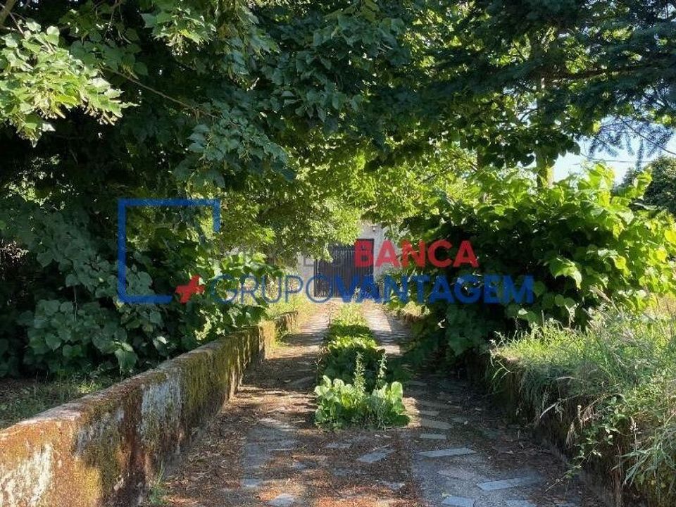 Landejendom i Mangualde, Viseu - foto 3
