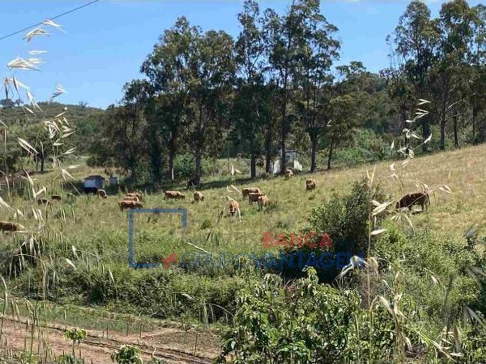 Farm hus i Odemira, Beja - foto 1