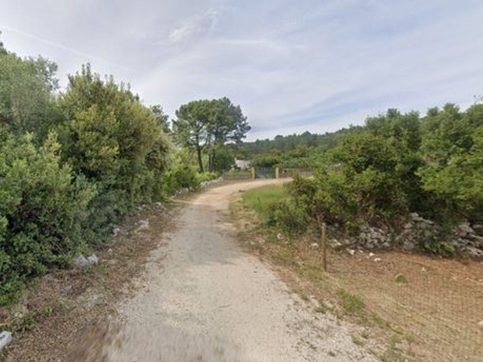 Terra a Alcanena, Santarem - foto 3