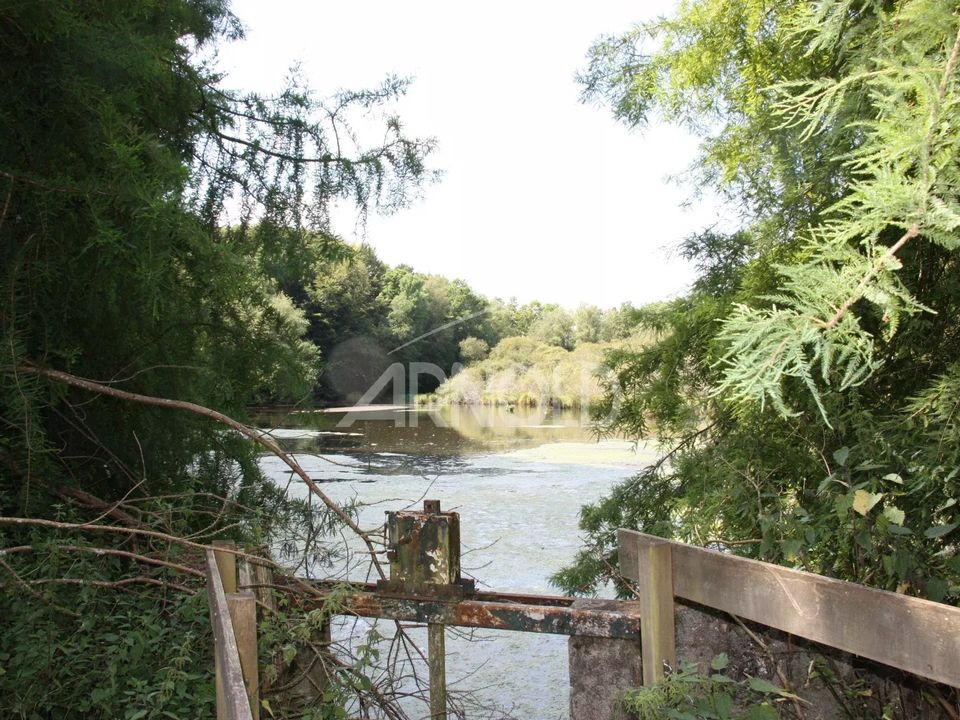 Landejendom i Bignan, Morbihan - foto 3