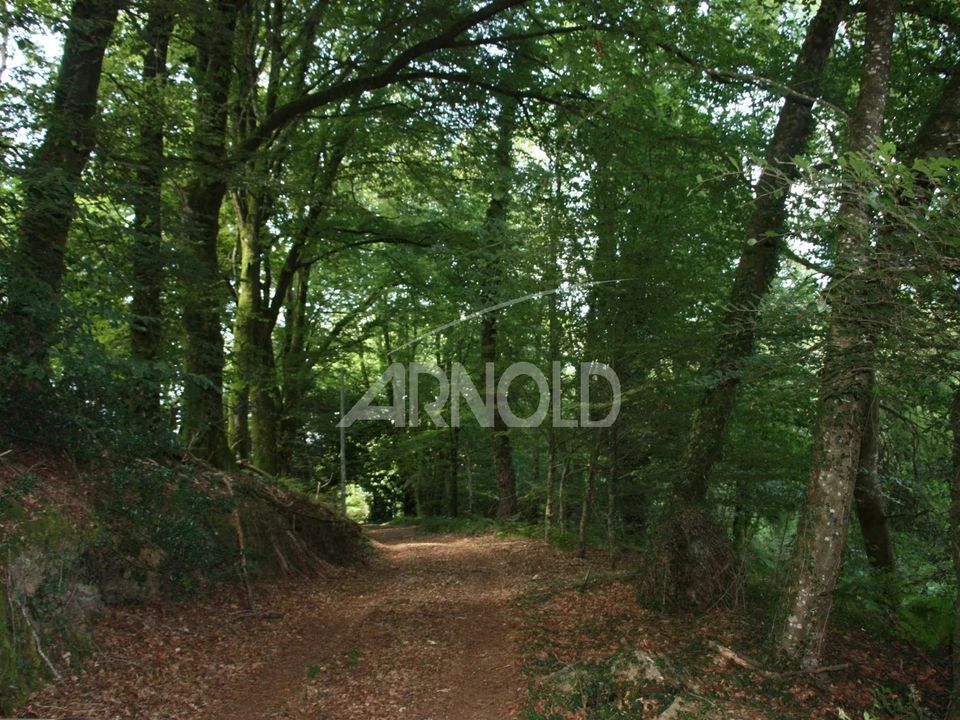 Landejendom i Bignan, Morbihan - foto 4