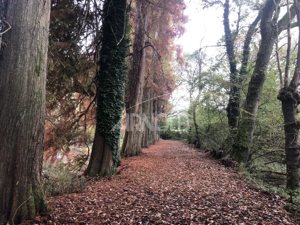 Landejendom i Bignan, Morbihan - foto 1