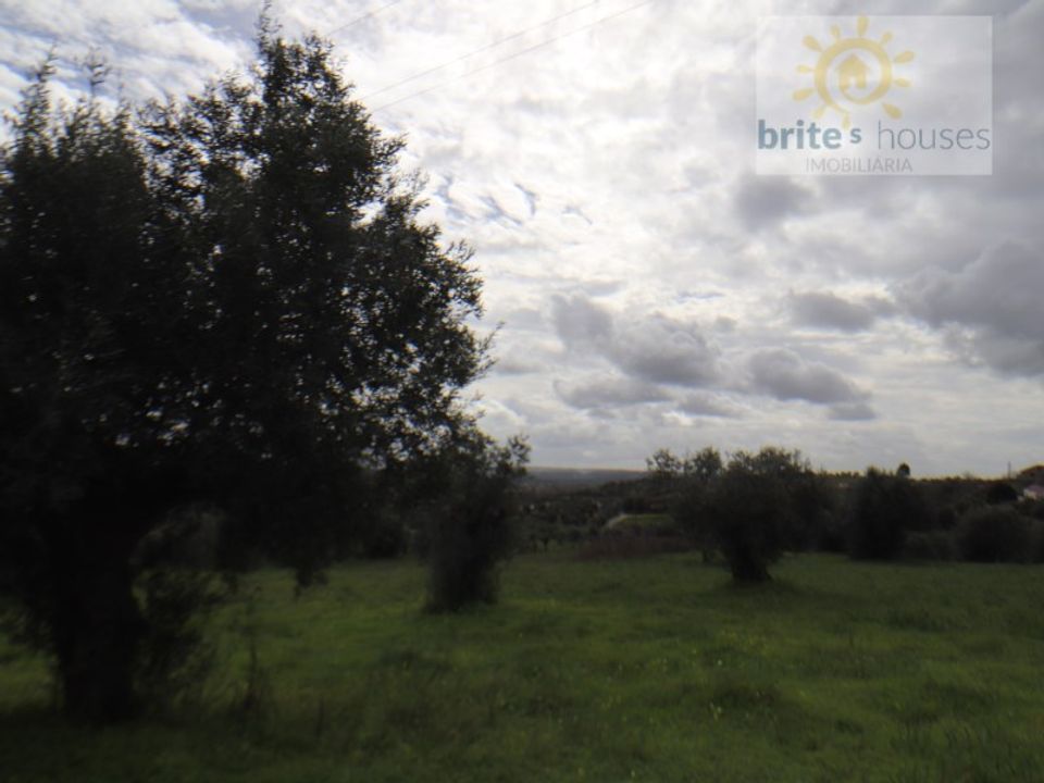 Gård i Tomar, Santarem - bilde 3