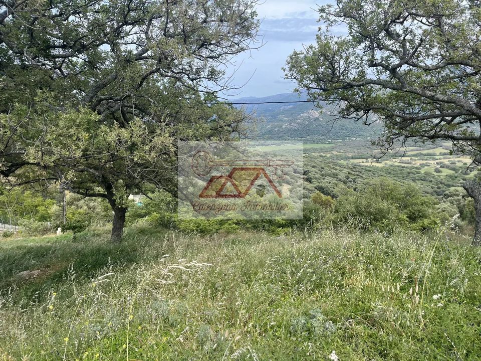 Landejendom i Cateri, Haute-Corse - foto 1
