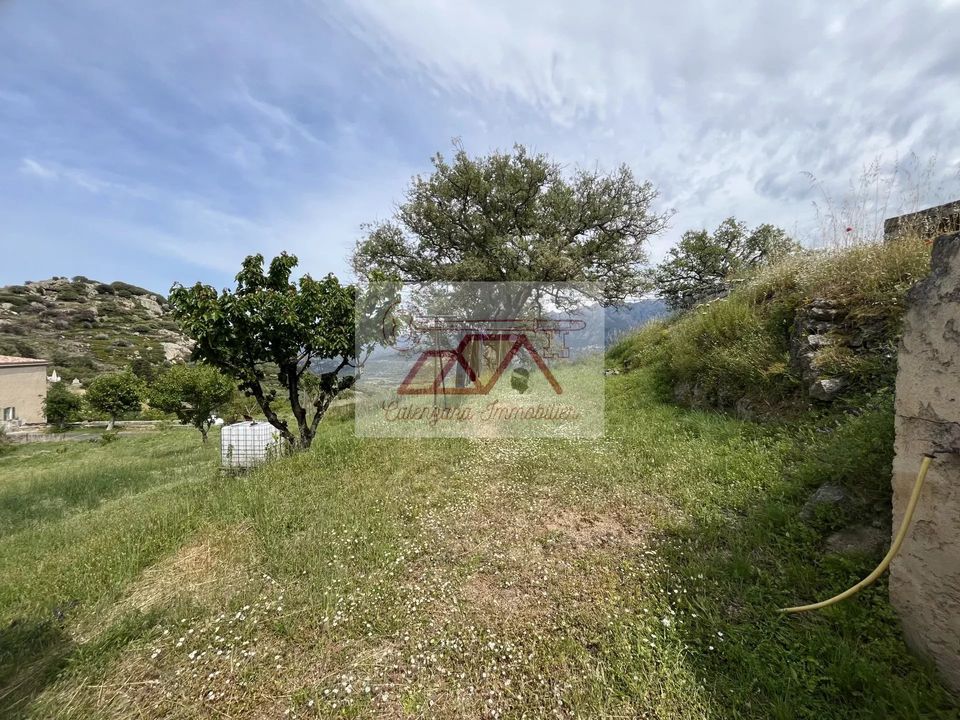 Landejendom i Cateri, Haute-Corse - foto 4