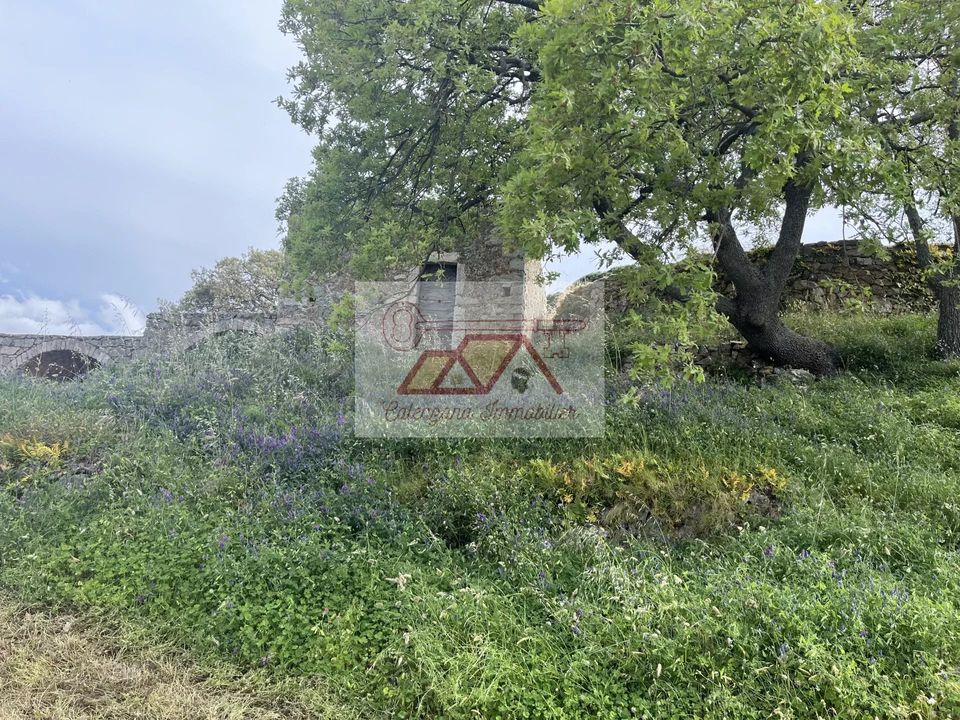 Landejendom i Cateri, Haute-Corse - foto 5