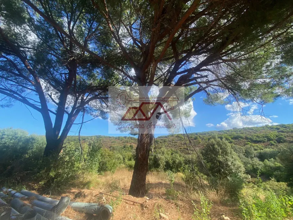 Landejendom i Calenzana, Haute-Corse - foto 4