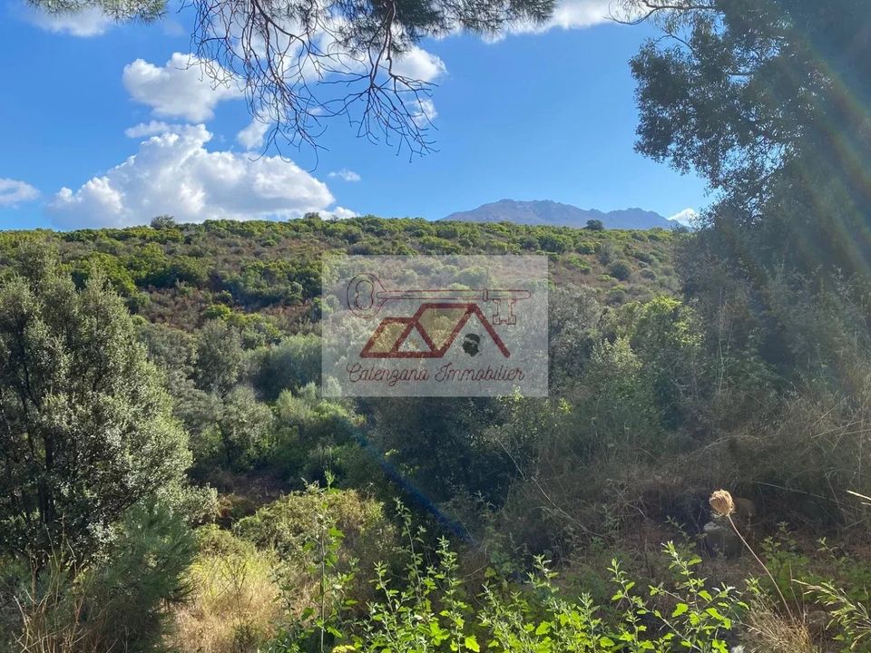 Landejendom i Calenzana, Haute-Corse - foto 5