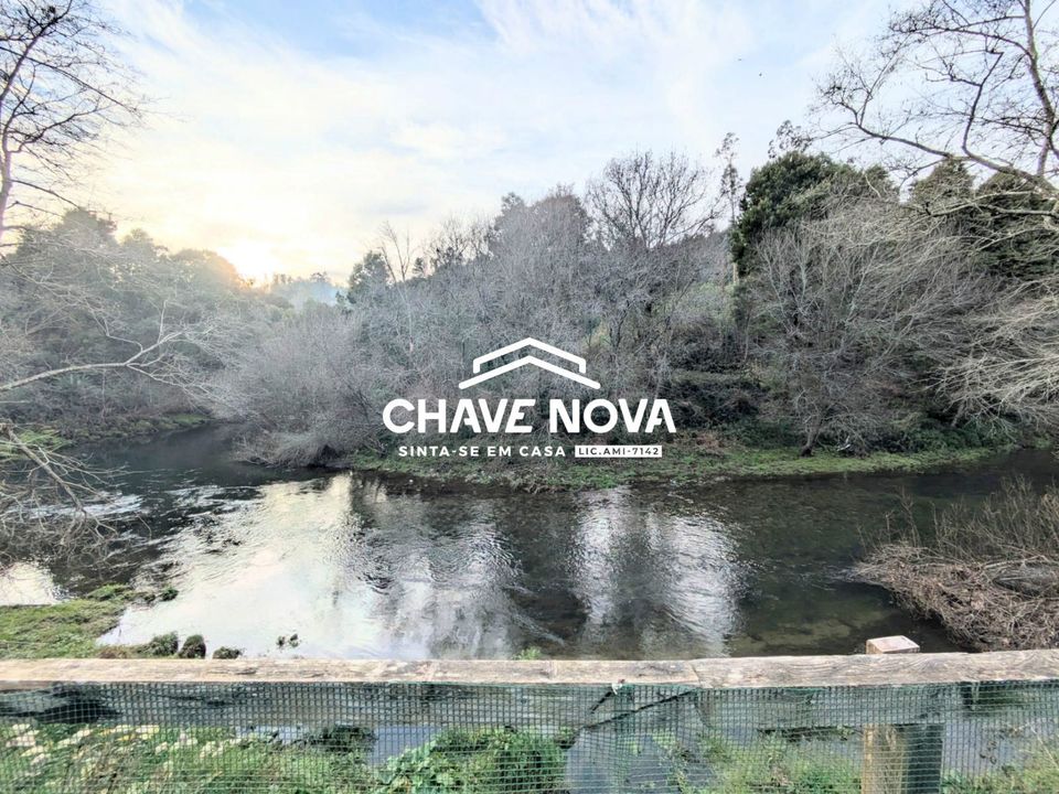 Farm i Oliveira de Azemeis, Aveiro - foto 3