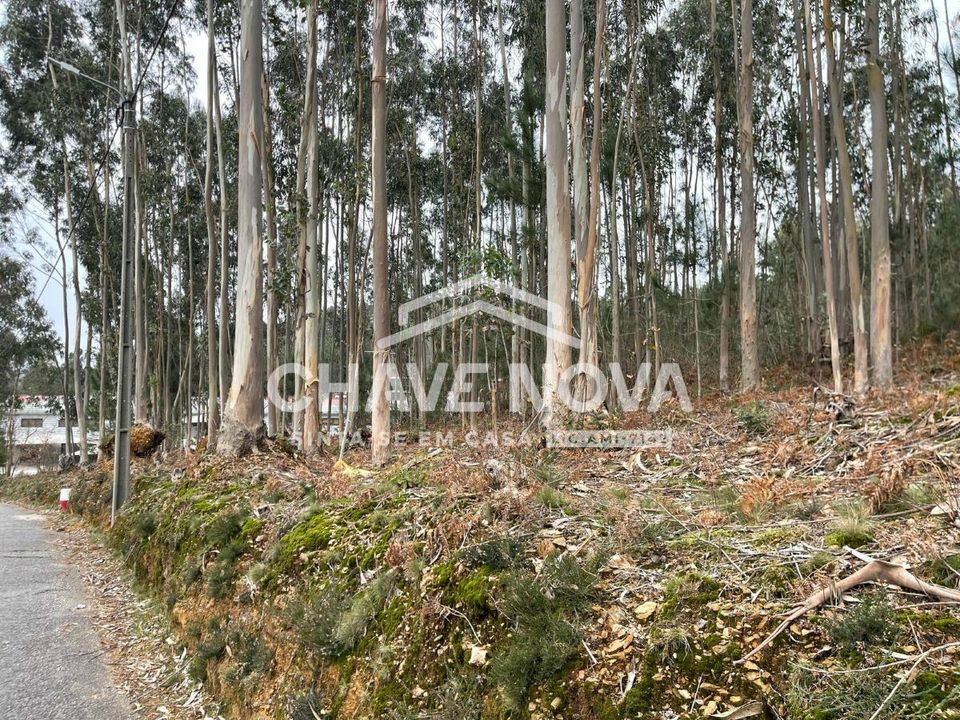 Helårsgrund i Oliveira de Azemeis, Aveiro - foto 3