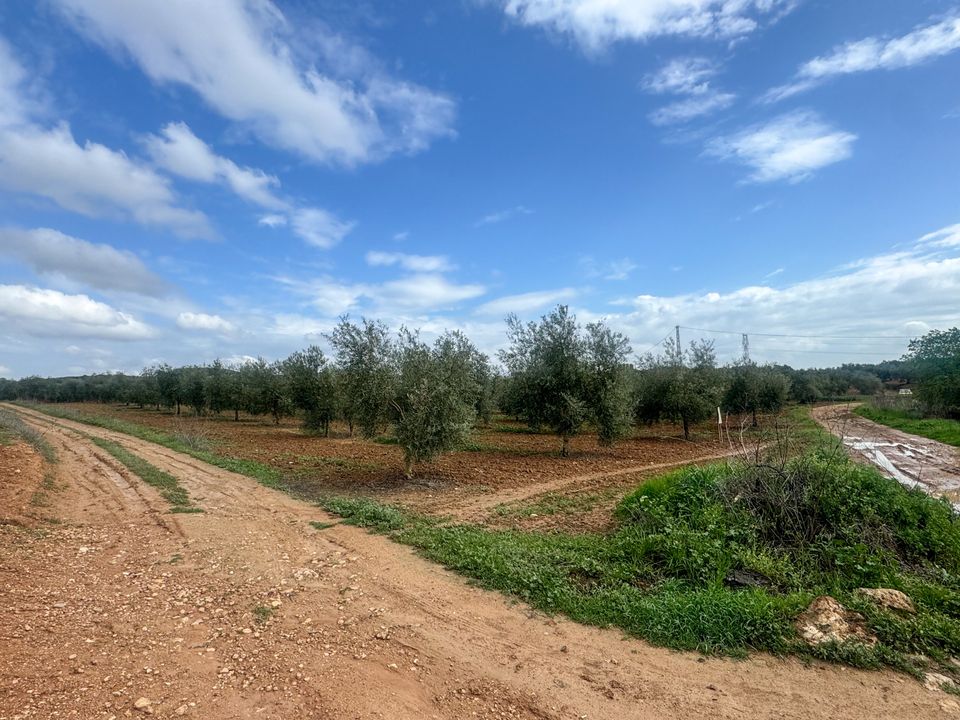 Helårsgrund i Mollina, Malaga - foto 1