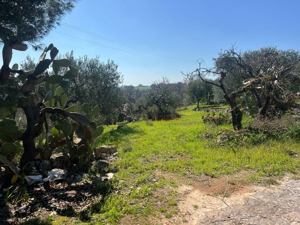 Herregård i Cisternino, Brindisi - bilde 2