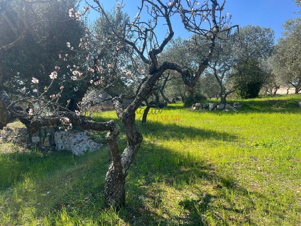 Herregård i Cisternino, Brindisi - bilde 3