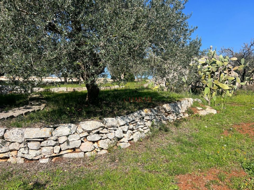 Herregård i Cisternino, Brindisi - bilde 5