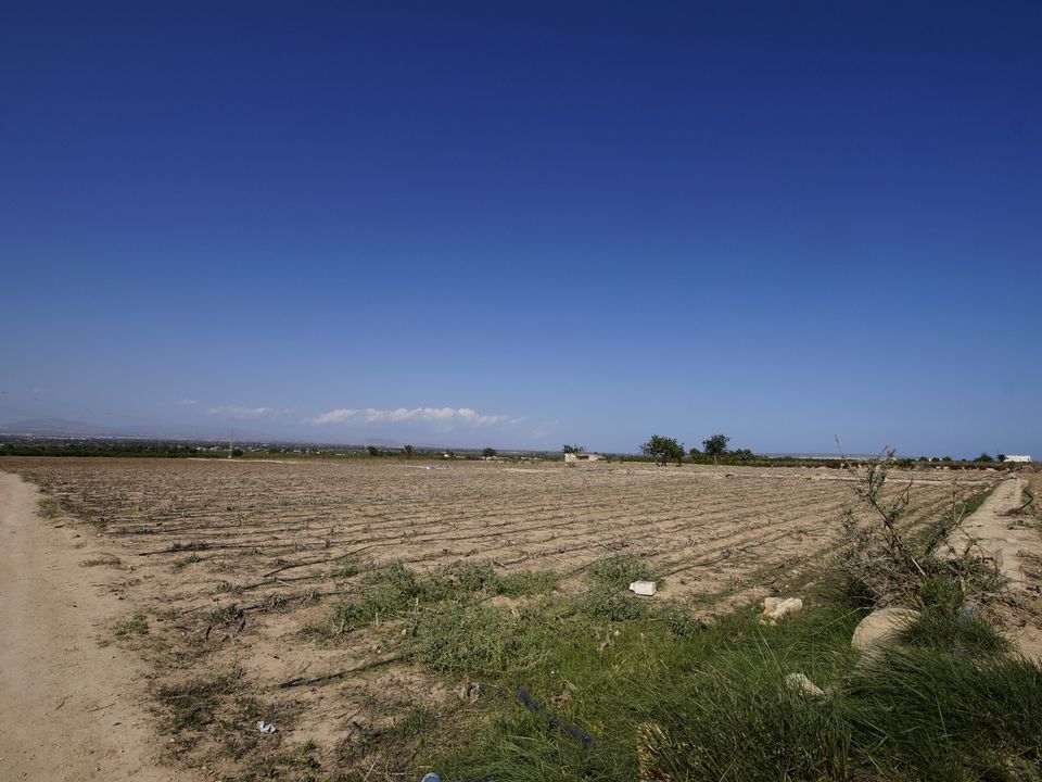 Helårsgrund i La Marina, Alicante - foto 4