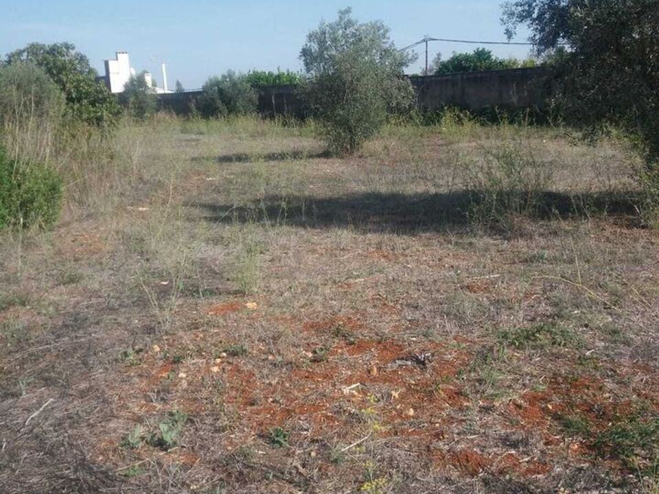 Helårsgrund i Torres Novas, Santarem - foto 1