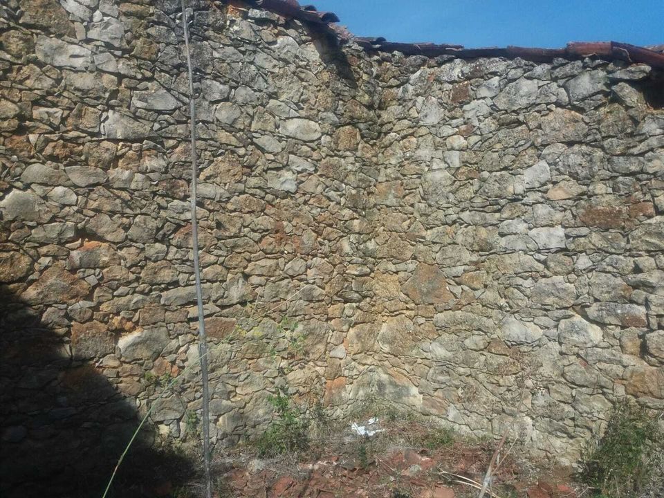 Helårsgrund i Torres Novas, Santarem - foto 3