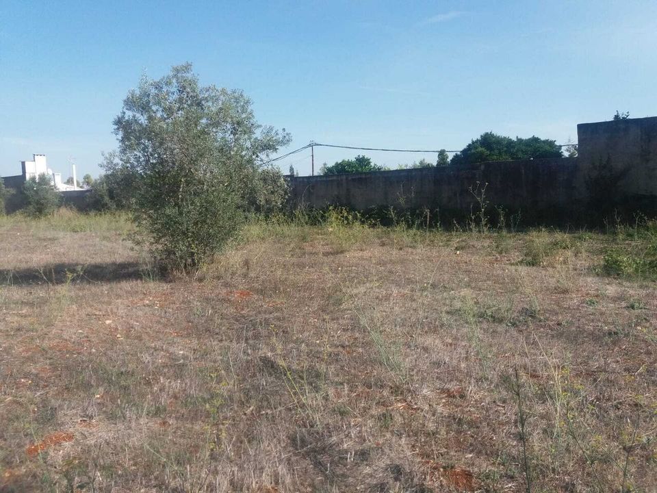 Helårsgrund i Torres Novas, Santarem - foto 5