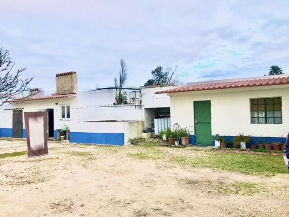 Farm i Alpiarca, Santarem - foto 4