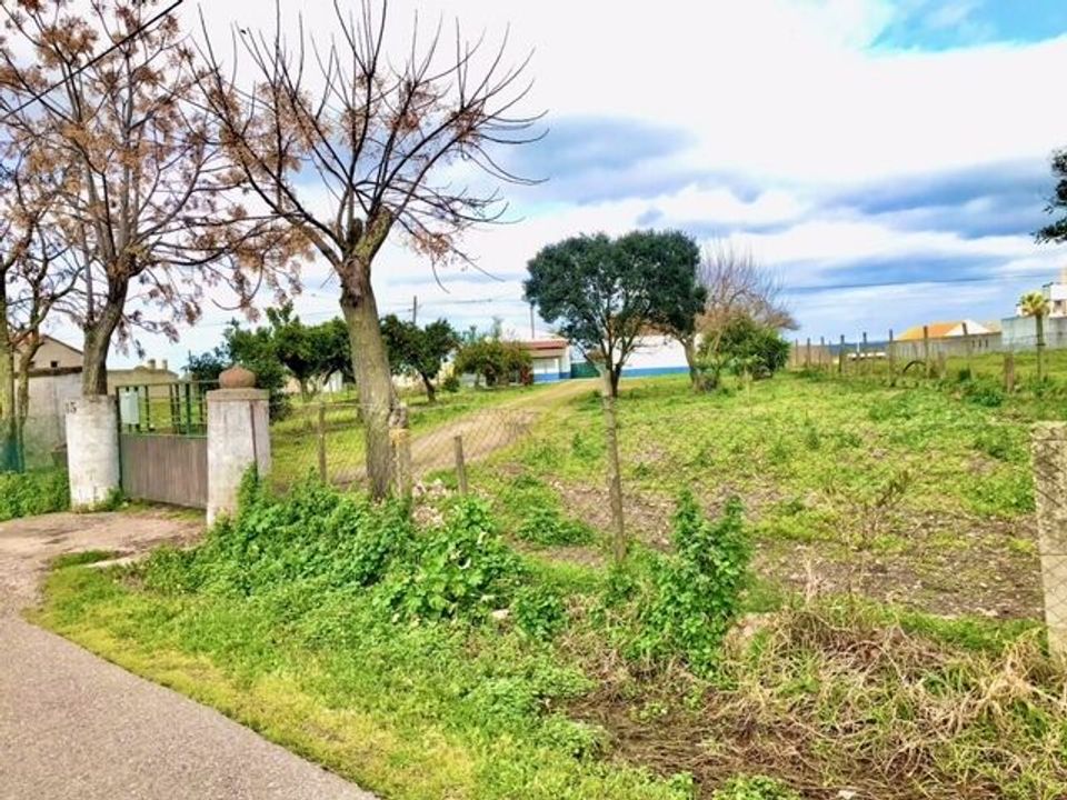 Farm i Alpiarca, Santarem - foto 2