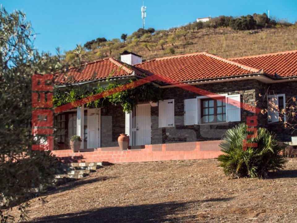 Farm i Mogadouro, Braganca - foto 1