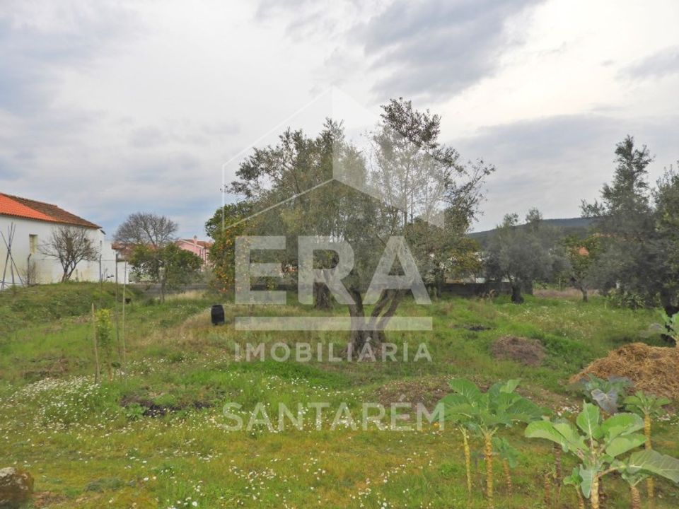Helårsgrund i Chamusca, Santarem - foto 1
