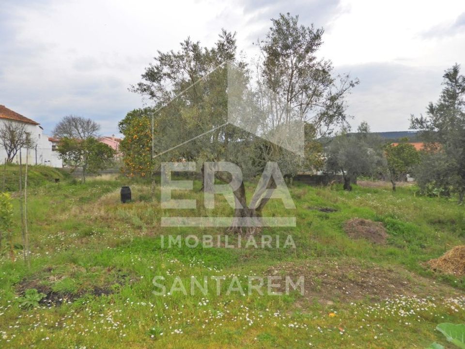 Helårsgrund i Chamusca, Santarem - foto 2