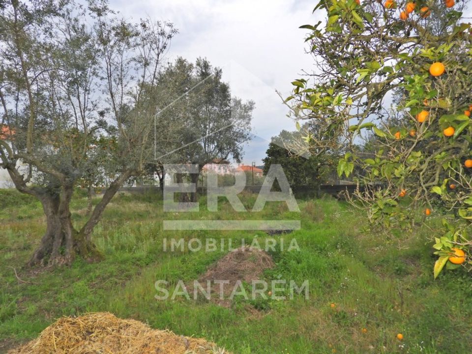 Helårsgrund i Chamusca, Santarem - foto 3