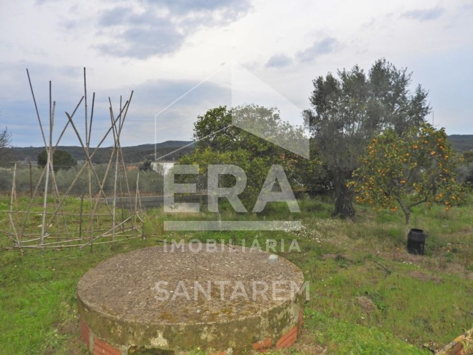 Helårsgrund i Chamusca, Santarem - foto 4